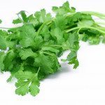 Health Bite: Cilantro