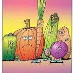 Minimizing Food Wastage to Maximize your Food Budget